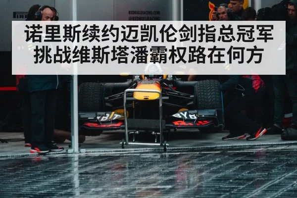 诺里斯续约迈凯伦剑指总冠军 挑战维斯塔潘霸权路在何方
